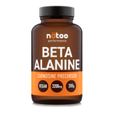 Beta-Alanine (polvere)